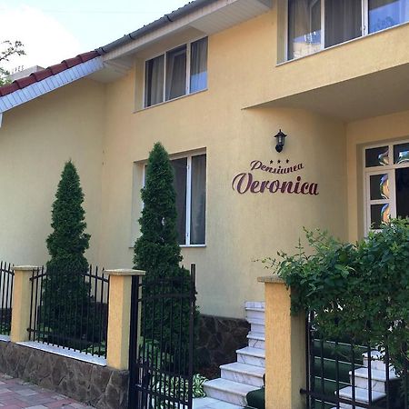 Pensiunea Veronica Băile Felix Eksteriør billede